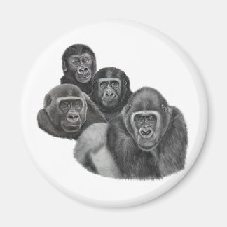Imán Son Gorilla Magnet By AGE. Gorilla Life