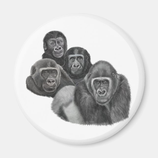 Imán Son Gorilla Magnet By AGE. Gorilla Life (Frente)