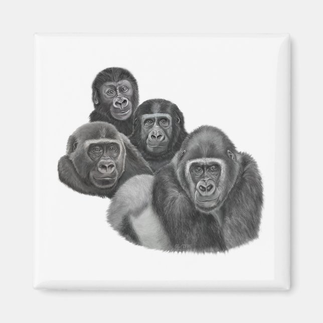 Imán Son Gorilla Magnet By AGE. Gorilla Life (Frente)