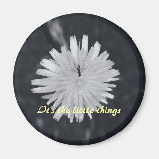 Imán Son las pequeñas cosas