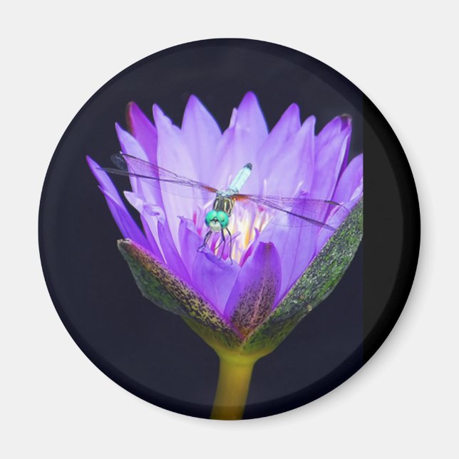 Imán Sonia WIld (Frente)