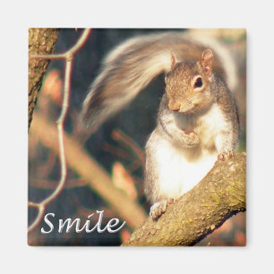 Imán Sonríe Sr. Squirrel Magnet