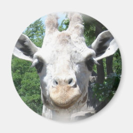 Imán Sonriente jirafa