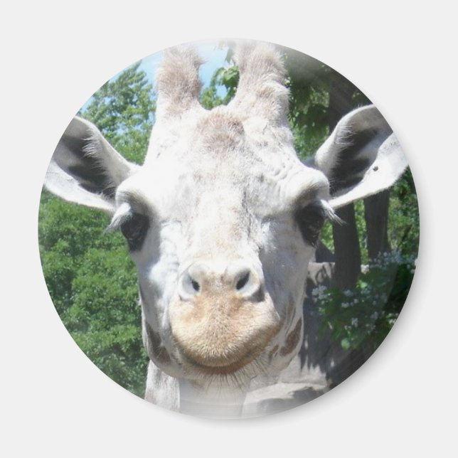 Imán Sonriente jirafa (Frente)