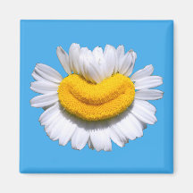 Sonriente Manzanilla Radiante Sonrisa
