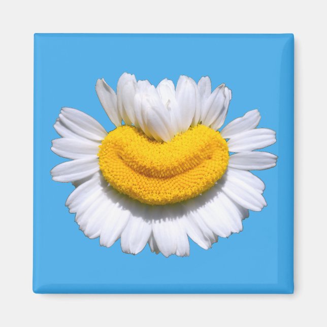 Imán Sonriente Manzanilla Radiante Sonrisa  (Frente)