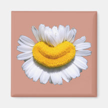 Sonriente Manzanilla Radiante Sonrisa
