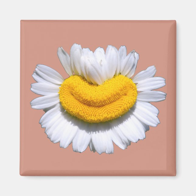 Imán Sonriente Manzanilla Radiante Sonrisa  (Frente)