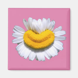 Imán Sonriente Manzanilla Radiante Sonrisa 