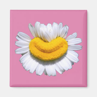 Imán Sonriente Manzanilla Radiante Sonrisa