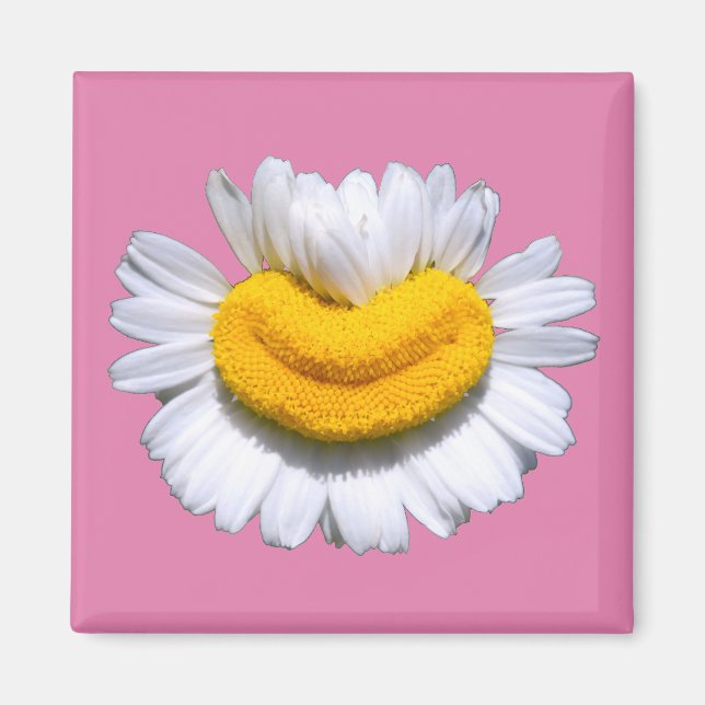 Imán Sonriente Manzanilla Radiante Sonrisa  (Frente)