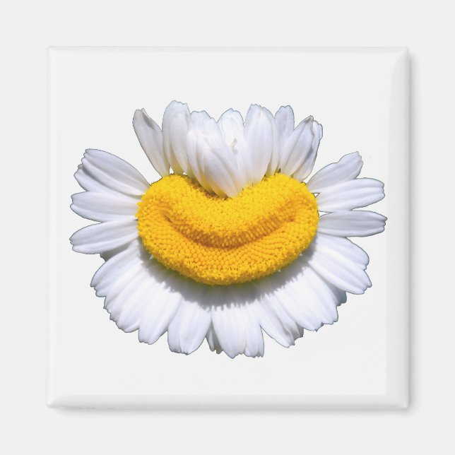 Imán Sonriente Manzanilla Radiante Sonrisa  (Frente)