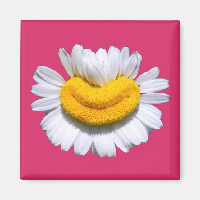 Imán Sonriente Manzanilla Radiante Sonrisa  (Frente)