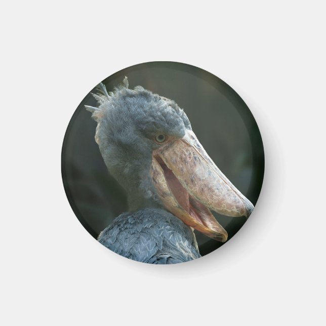 Imán Sonriente Shoebill (Frente)