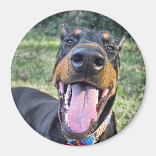 Imán Sonrisa del Doberman