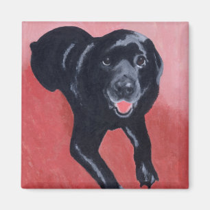 Imán Sonrisa negra de Labrador