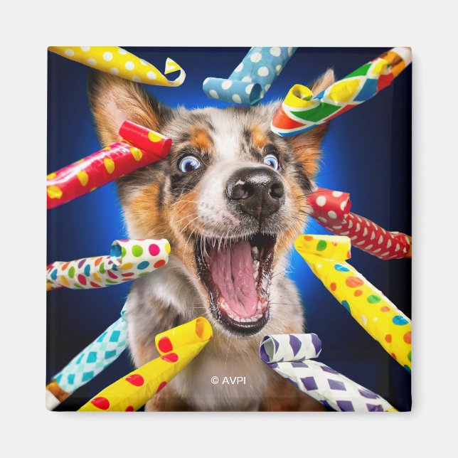 Imán Sopladores de Fiesta para Perros Felices (Frente)