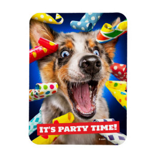 Imán Sopladores de Fiesta para Perros Felices