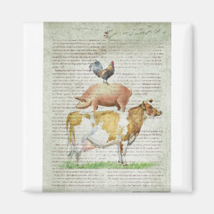 Imán Soporte B1.tif de la granja NOB11