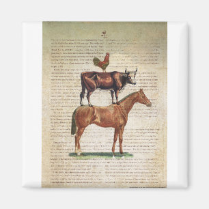 Imán Soporte de granja NOB12 C1.tif