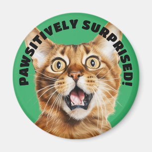 Imán ¡SORPRENDIDO DE MANERA ABSOLUTA! Crazy Cat Green