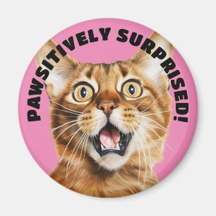 Imán ¡SORPRENDIDO DE MANERA ABSOLUTA! Crazy Cat Pink