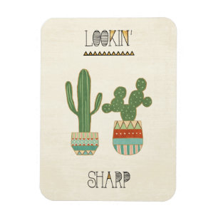 Imán Sostenido de Geo IX el   Lookin del sudoeste