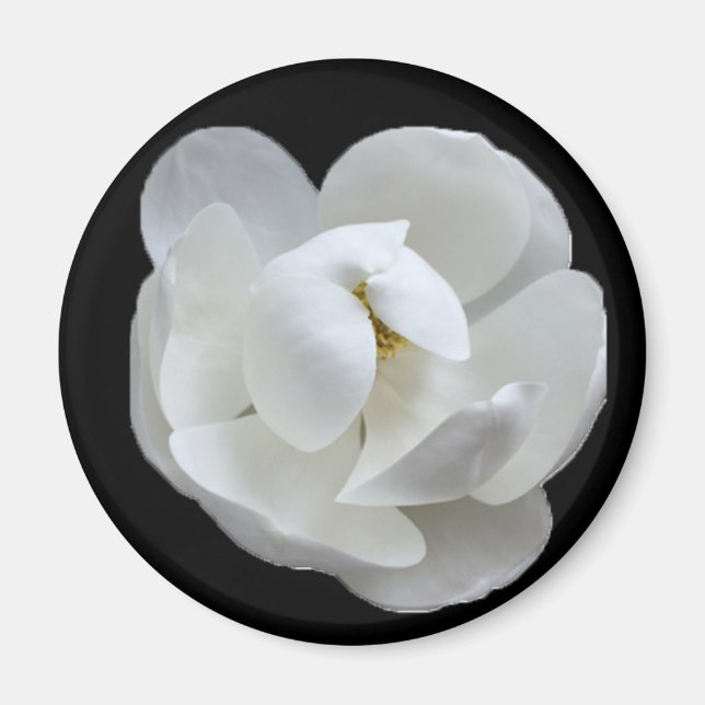 Imán Southern Lady (Frente)