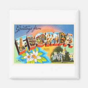 Imán Souvenir de viajes del viejo viejo viejo venado de