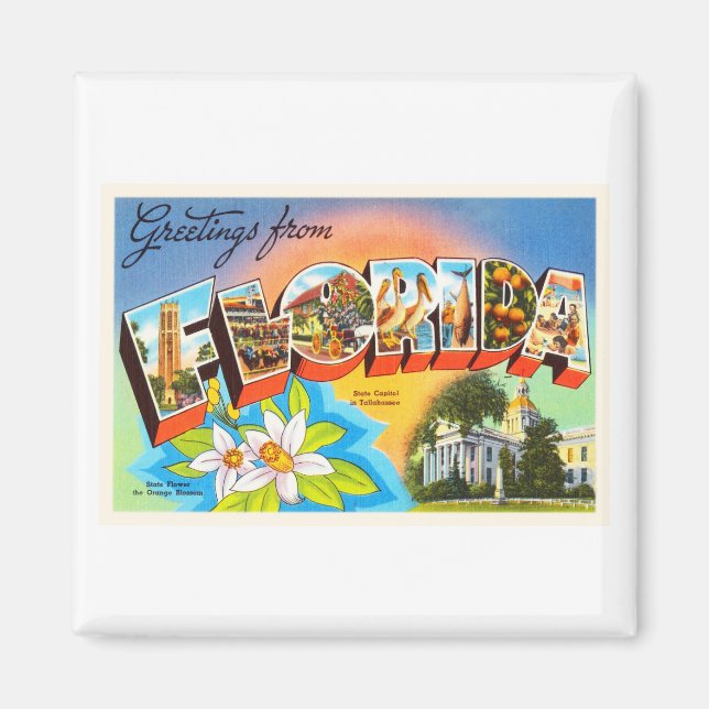 Imán Souvenir de viajes del viejo viejo viejo venado de (Frente)