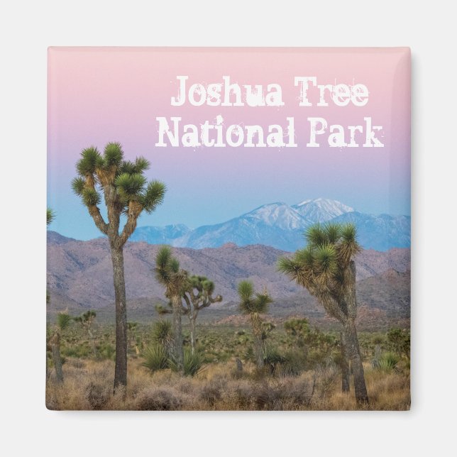 Imán Souvenir del parque nacional del árbol Joshua azul (Frente)