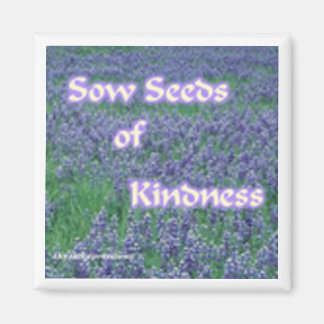 Imán Sow Kindness Magnet