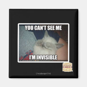 Imán Soy invisible