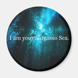 Imán Soy su mar del Sargasso