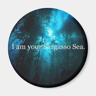 Imán Soy tu mar de los Sargazos