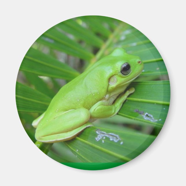 Imán Soy verde (Frente)