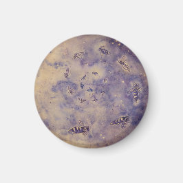 Imán Space Bees Magnet