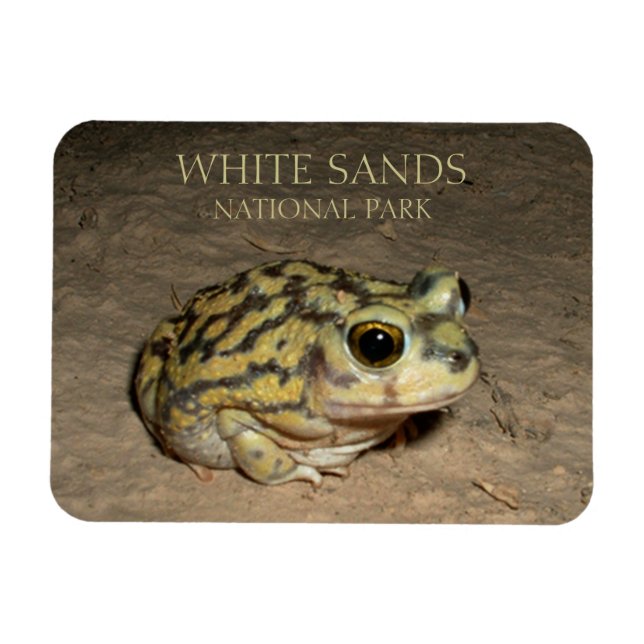 Imán Spagfoot Toad, Parque Nacional de Sands Blancos (Horizontal)