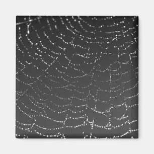 Imán Sparkling Spiderweb