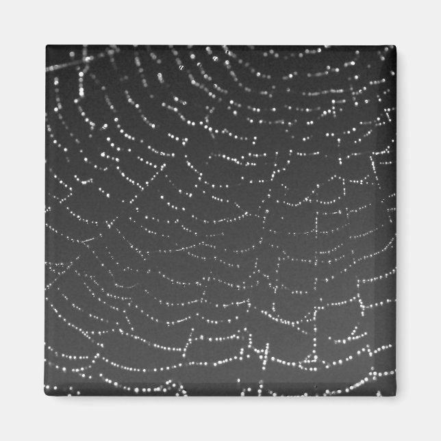 Imán Sparkling Spiderweb (Frente)