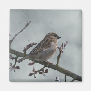 Imán Sparrow en la foto de la sucursal