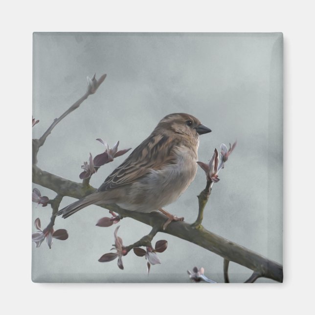 Imán Sparrow en la foto de la sucursal (Frente)