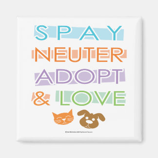 Imán Spay Neuter Adopte el Amor
