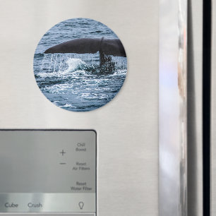 Imán Sperm Whale