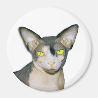 Imán Sphynx Cat Ninja White Round