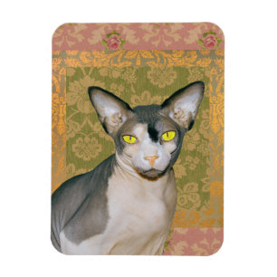Imán Sphynx Cat Patchwork Floral Damask design 