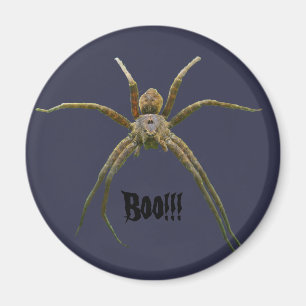 Imán Spider