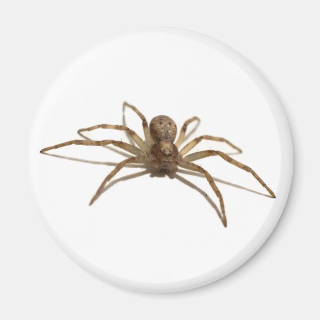 Imán Spider (Frente)