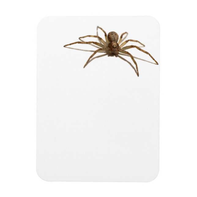 Imán Spider (Vertical)