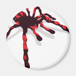 Imán Spider gigante